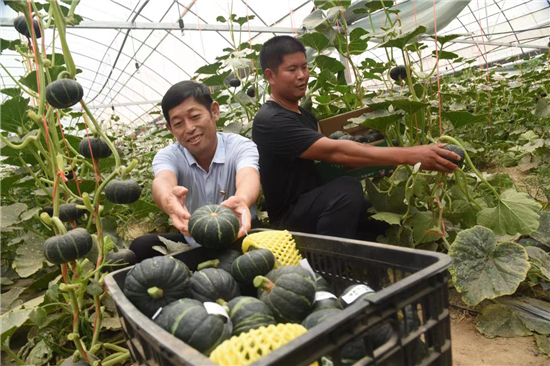 开封市杞县“三不要”书记杜振远：一腔热血洒故土_fororder_图片4