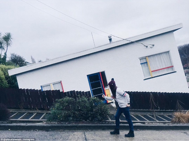 新西蘭最陡街道引眾多遊人圍觀