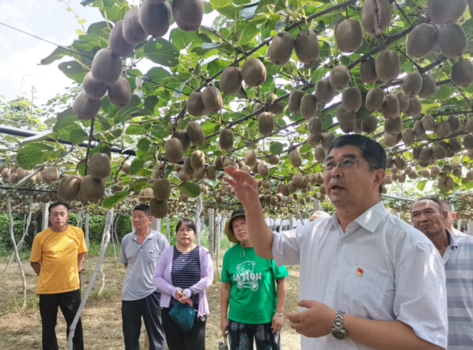 山东省人社厅在焦裕禄故乡开展专家服务活动