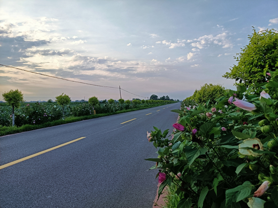 河北乐亭：“四好农村路”为乡村振兴赋能提速