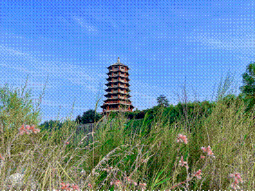 【美丽中国·网络媒体生态行】青绿满山坡 山水共缠绵——这里是绿色陕西