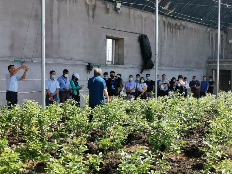 看临港新发展 “新农人”为乡村产业振兴插上“科技翅膀”
