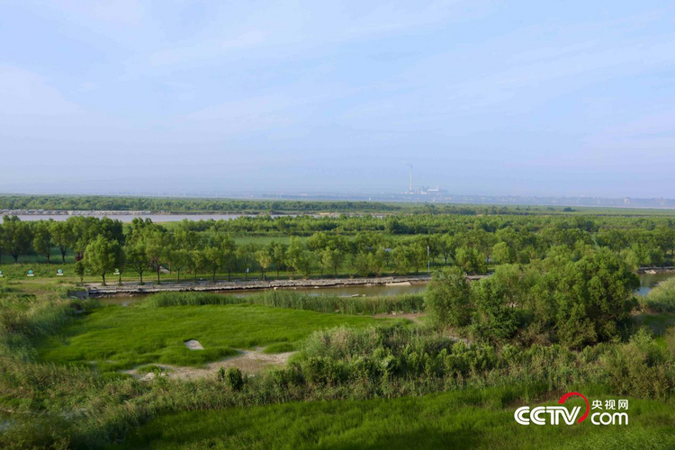 【美丽中国·网络媒体生态行】这堂以三秦大地为“教室”的思政课讲了什么？