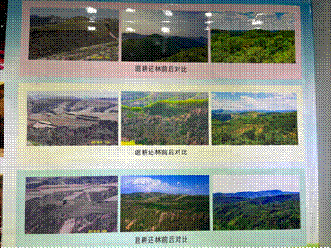 【美丽中国·网络媒体生态行】青绿满山坡 山水共缠绵——这里是绿色陕西