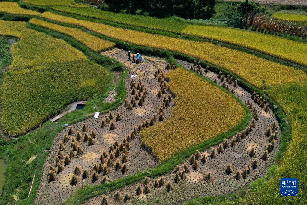 全国各地秋收忙_fororder_1128981590_16624701684091n