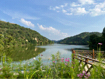 【美丽中国·网络媒体生态行】青绿满山坡 山水共缠绵——这里是绿色陕西