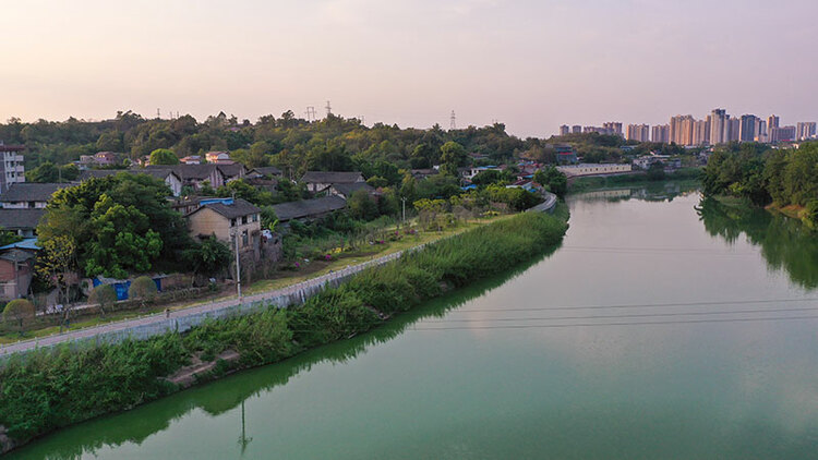 自贡沿滩：生态河道“长廊” 铺就绿色釜溪“画卷”_fororder_3釜溪河邓太段河道