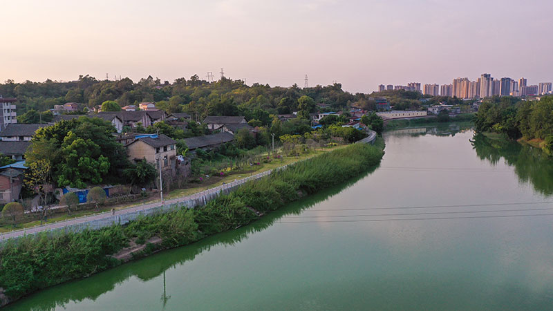 自贡沿滩：生态河道“长廊” 铺就绿色釜溪“画卷”_fororder_3釜溪河邓太段河道