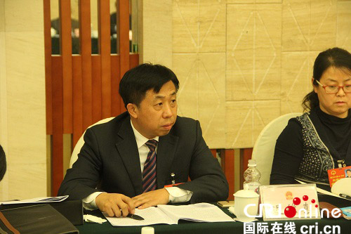 黑龙江省人大代表,肇源县长迟维喜在分组讨论中 刘才星 摄