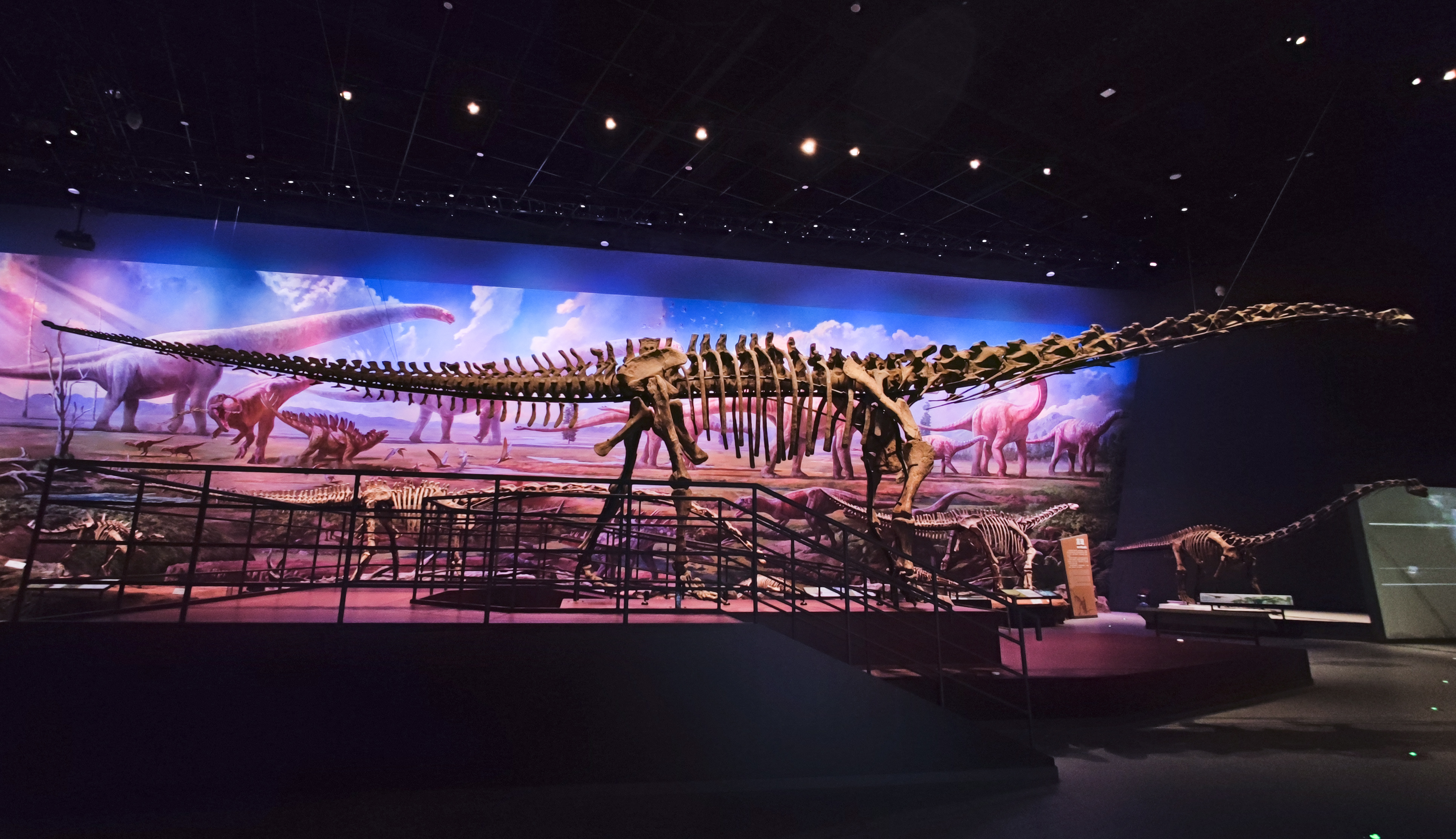 （转载）可以看恐龙化石的成都自然博物馆快要开馆啦