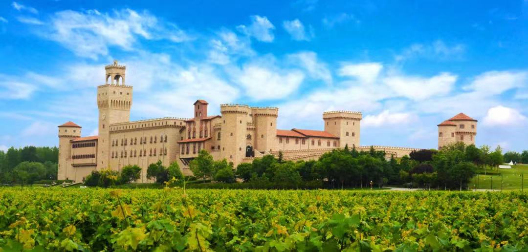 【丝路正青春 秦汉展风华】丝路青年在张裕瑞那城堡酒庄徜徉千年文化之路_fororder_WechatIMG290