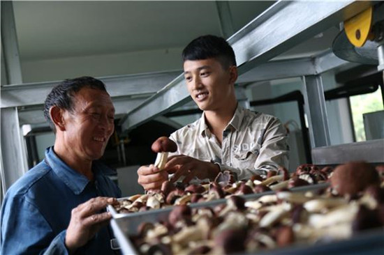 图片默认标题_fororder_e3e47461-da3a-47b4-8f6f-f6b799c040ed