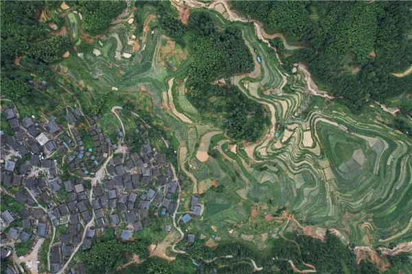 华熙云中：“云中黔歌”6000公里采风深入贵州 推动多民族文化传承