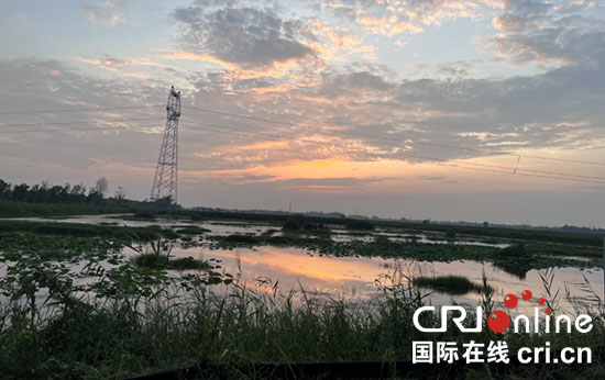 【乡村振兴看河南】濮阳市范县：发展特色富民产业 为乡村振兴注入活水_fororder_2