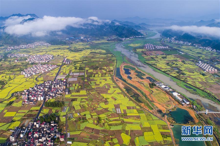 綠水青山入畫來