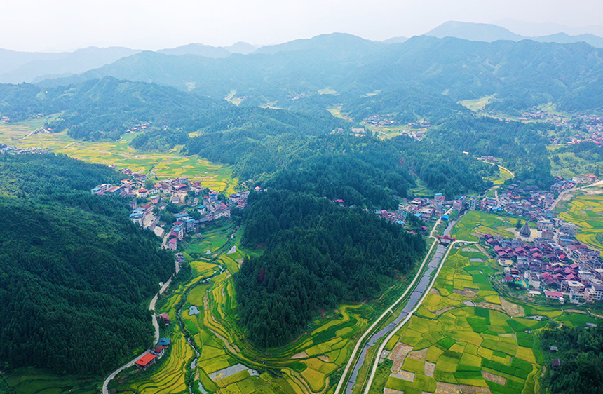 廣西融水：苗山深處沃野生金