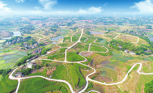 自贡市贡井区“四好农村路”助力乡村振兴_fororder_“玉带”缠绕万亩果园