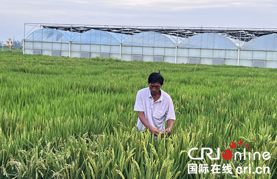 【乡村振兴看河南】濮阳市范县：发展特色富民产业 为乡村振兴注入活水_fororder_1