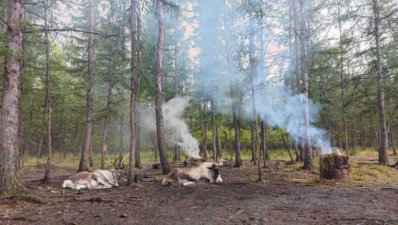 《額爾古納河右岸》主人公原型瑪麗亞·索在馴鹿身邊去世 享年101歲_fororder_10