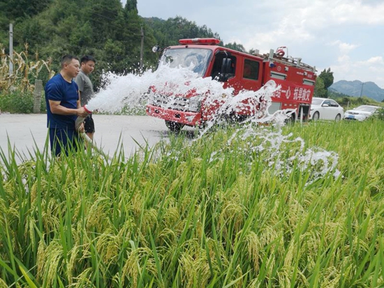 貴州碧江和平鄉：動用一切力量抗旱保生産促增收_fororder_1