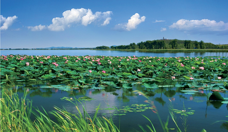 Meet Tieling at 42 degrees north latitude where Lotus grows in clear water