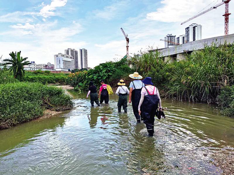 全力协作啃下“硬骨头” 城投集团多措并举解决那洪泵站黑臭淤泥长期扰民难题