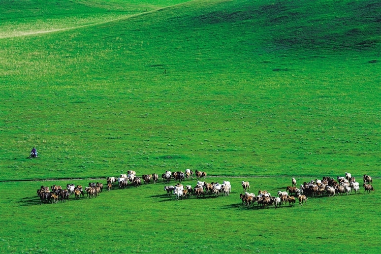 只此青绿壮美画卷内蒙古筑牢我国北方重要生态安全屏障答卷亮丽