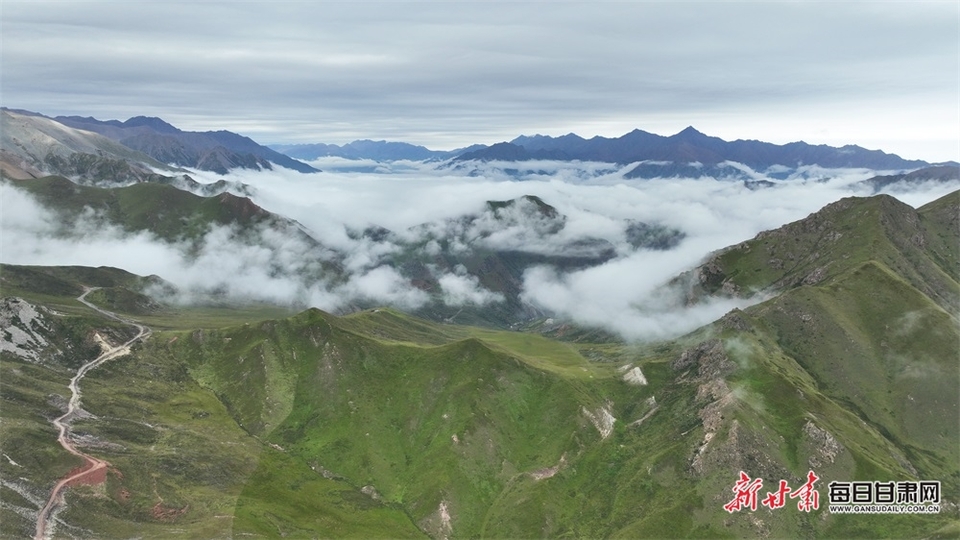 【視界】雨後張掖肅南縣大河鄉美若仙境_fororder_2