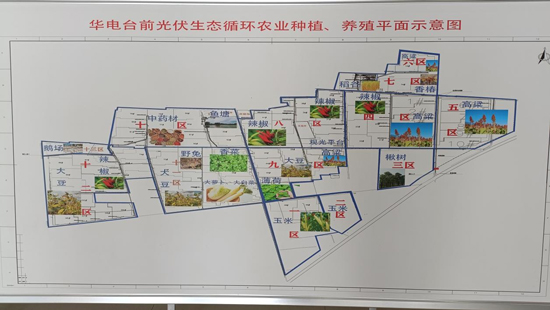 【原创】【乡村振兴看河南】濮阳市台前县：“农光互补”为老百姓补出“田间银行”_fororder_图片12