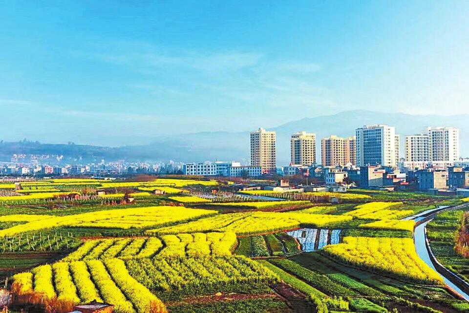 昆明农业现代化之路越走越宽阔_fororder_24b