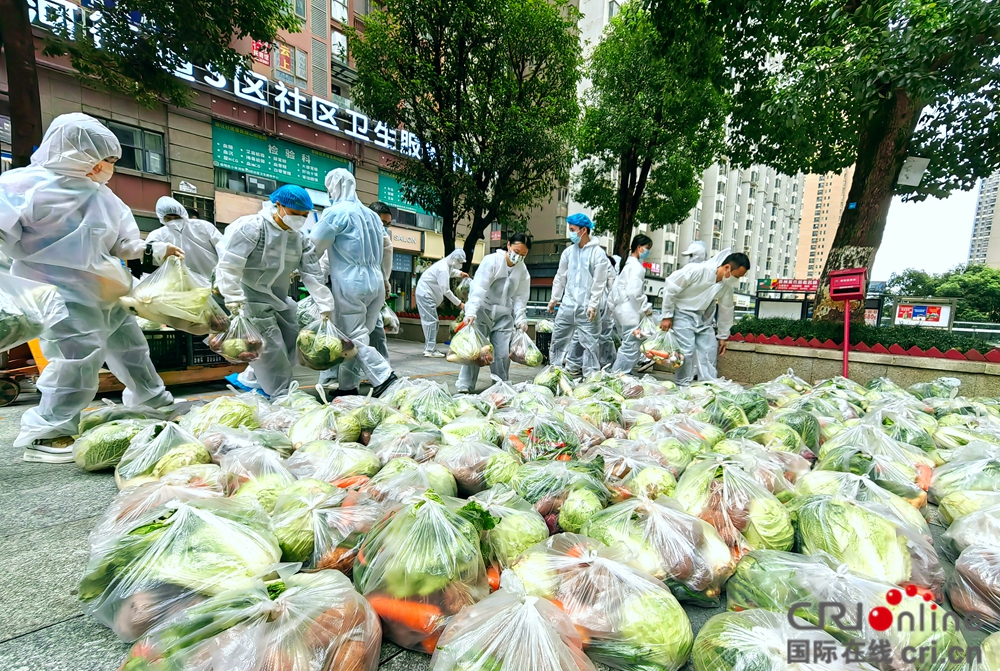 “爱心蔬菜包”送进贵阳花果园