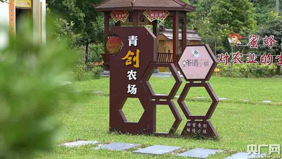 【山中青年】“蜂二代”的甜蜜事業