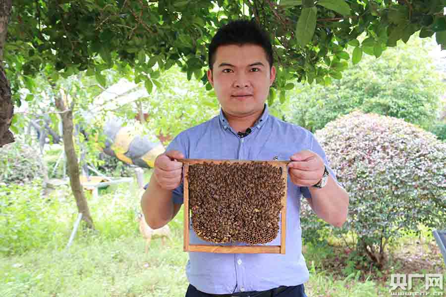 【山中青年】“蜂二代”的甜蜜事業