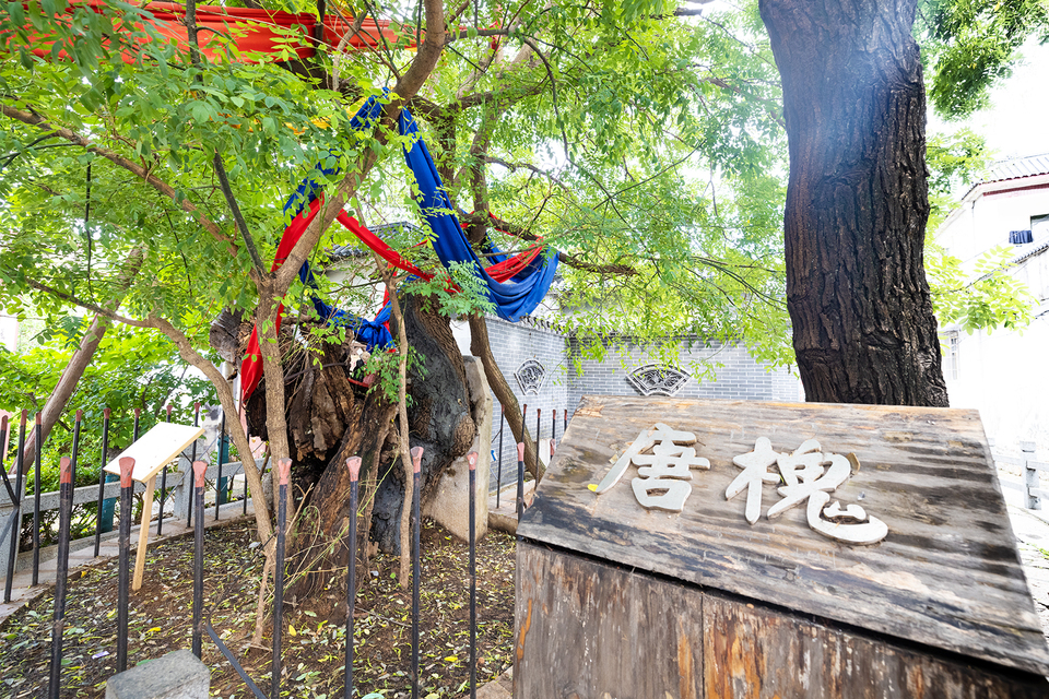 山东好景丨秋风里听泥淤泉边最舒心的声音 妙不可言