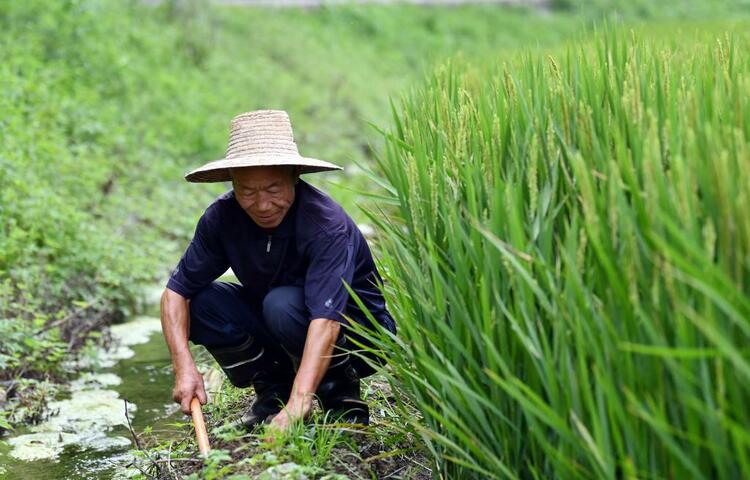 一个长城脚下小山村的发展振兴路