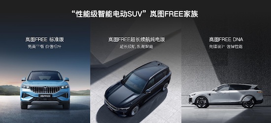 岚图FREE超长续航纯电版上市 中国首个高端电动SUV家族亮相_fororder_image005