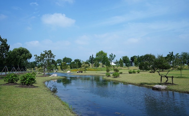 【轮播图】上海辰山植物园“莲”袂上新 生态景观再升级