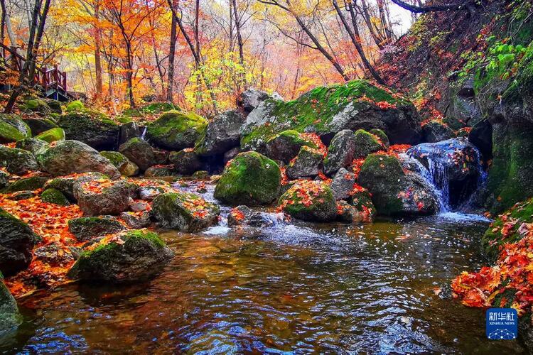 碧水藍天入畫來——遼寧老工業基地十年生態嬗變觀察