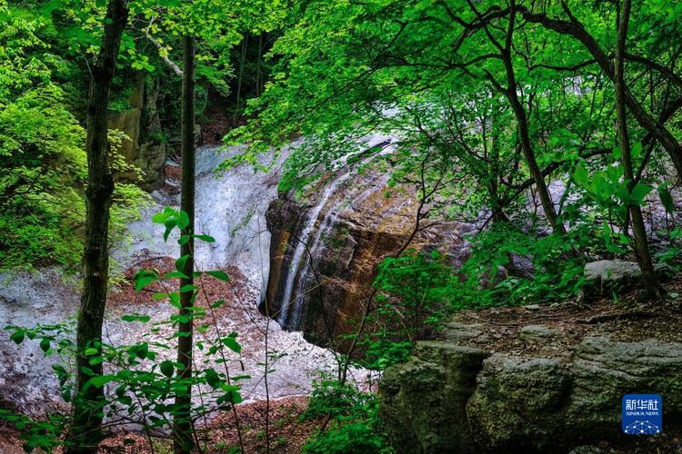 碧水藍天入畫來——遼寧老工業基地十年生態嬗變觀察