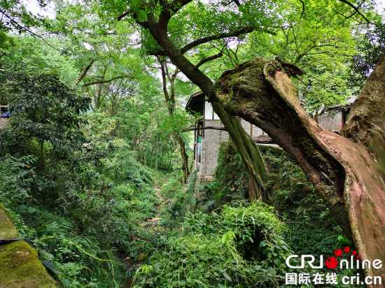 【CRI專稿 列表】重慶北碚金剛碑：昔日古村落將重現繁華