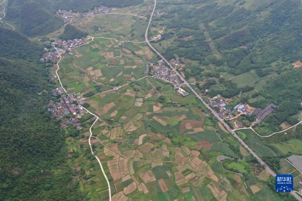 廣西融安：秋日田園美