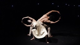 中芭芭蕾舞剧《小美人鱼》上演中国首演十周年纪念演出