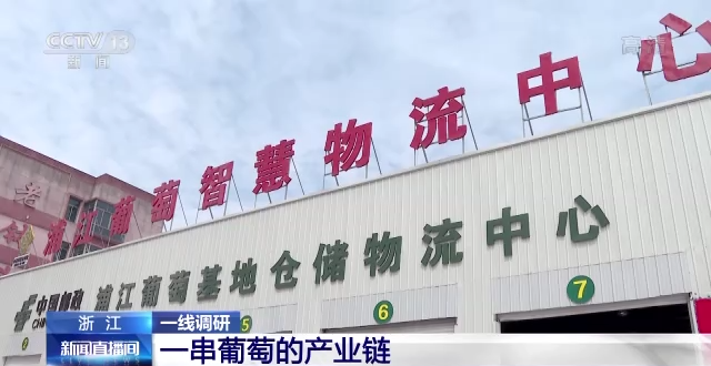 一线调研丨电商助销 物流助运 资金助力！全产业链促进乡村振兴