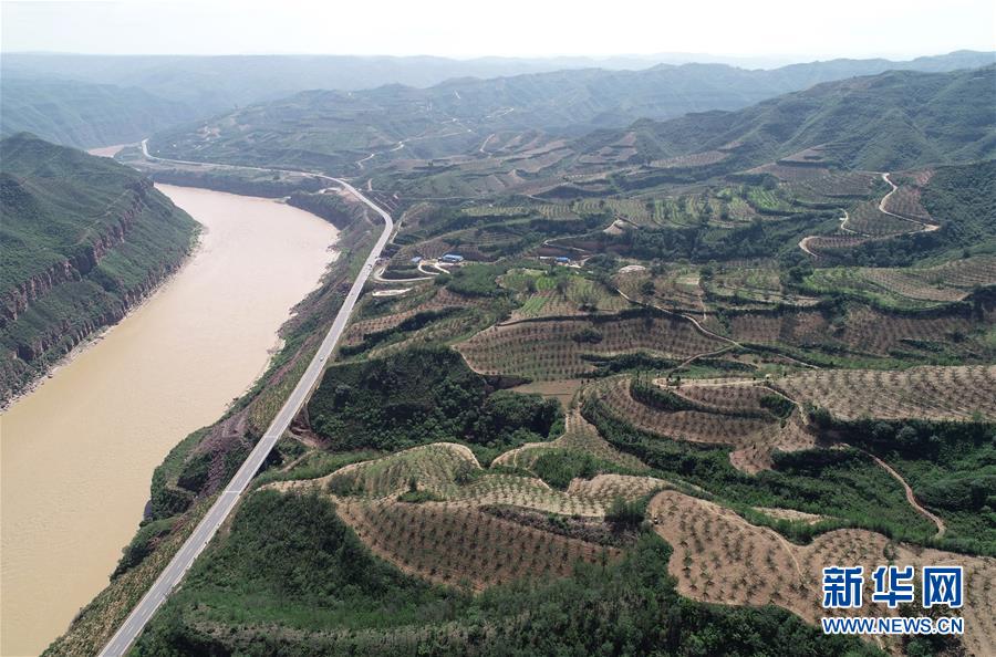 荒土换青山 林海淘真金——延安退耕还林20载造就绿色奇迹