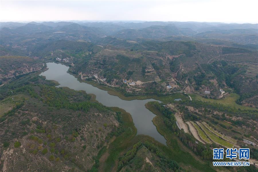 荒土换青山 林海淘真金——延安退耕还林20载造就绿色奇迹