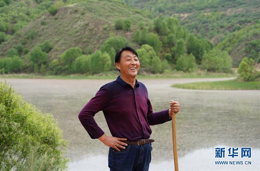 荒土换青山 林海淘真金——延安退耕还林20载造就绿色奇迹