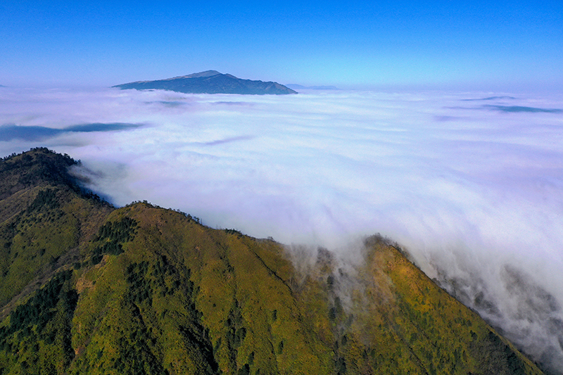 镜头下的大凉山丨凉山州成立70周年县市风采——美姑县_fororder_美姑县旅游资源丰富，图为大风顶国家级自然保护区的云海。阿牛史日摄