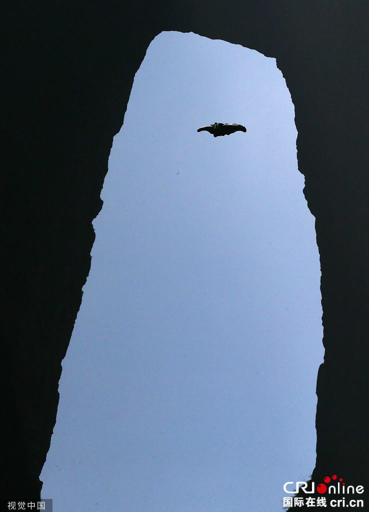 图片默认标题_fororder_VCG111244306305