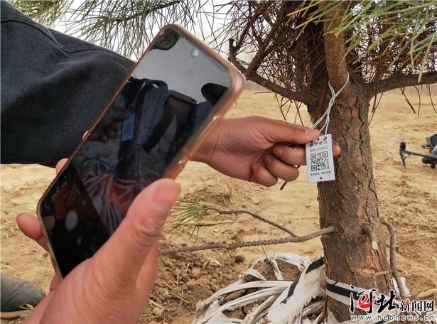 【大河之北·森林草原篇】山野新綠