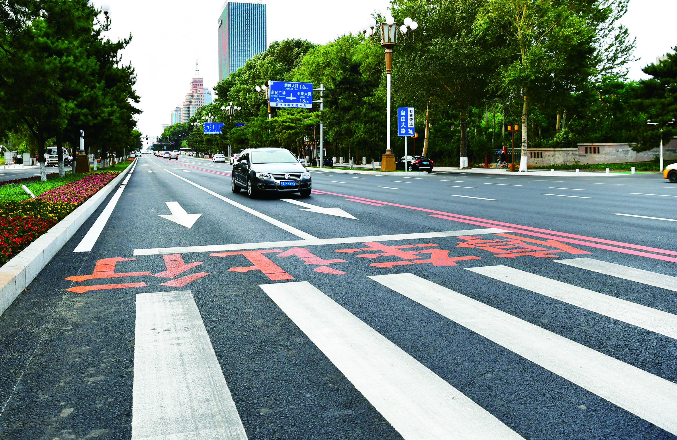 人民大街让行标志醒目 提醒车辆礼让行人